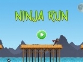 Ninja Run Adventure